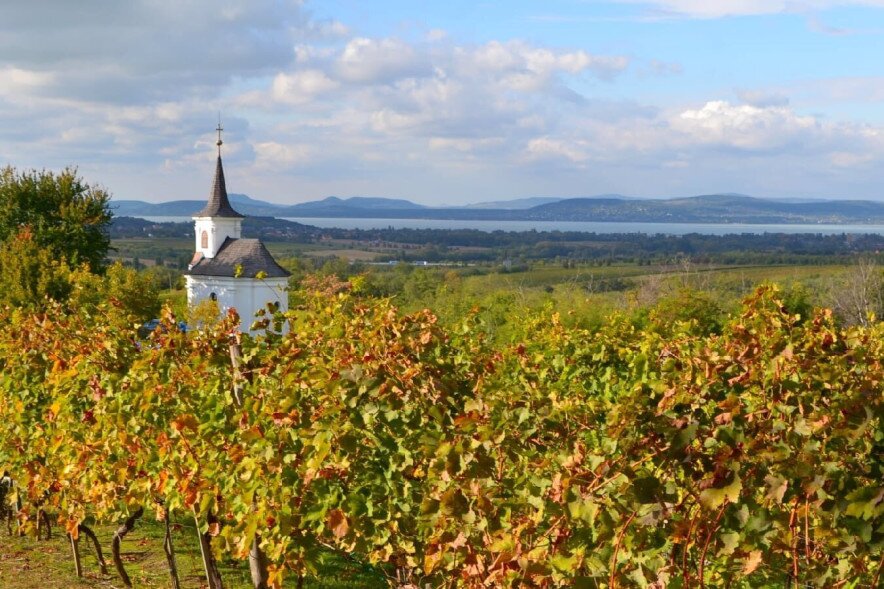 Balaton Bor Bár