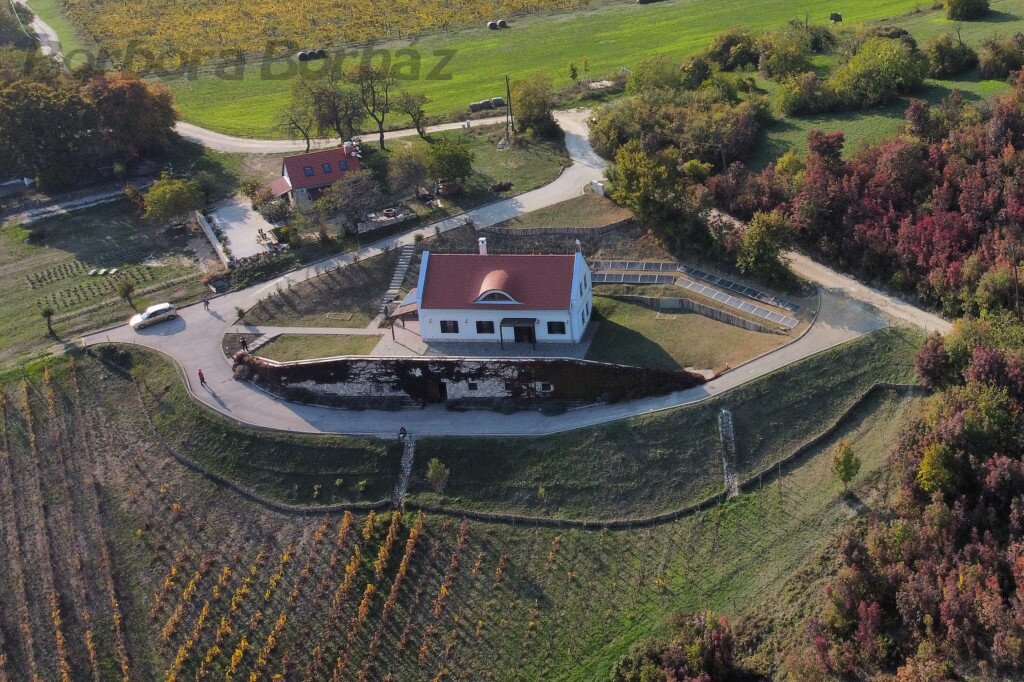 Borbora Borház