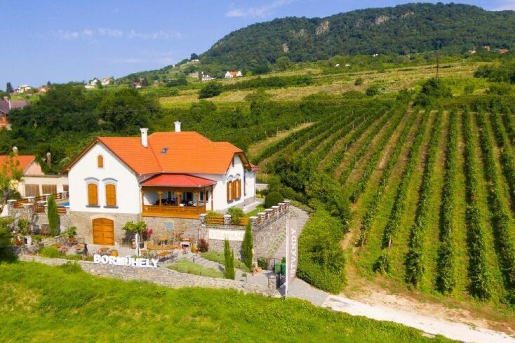 Istvándy Pincészet_Badacsony